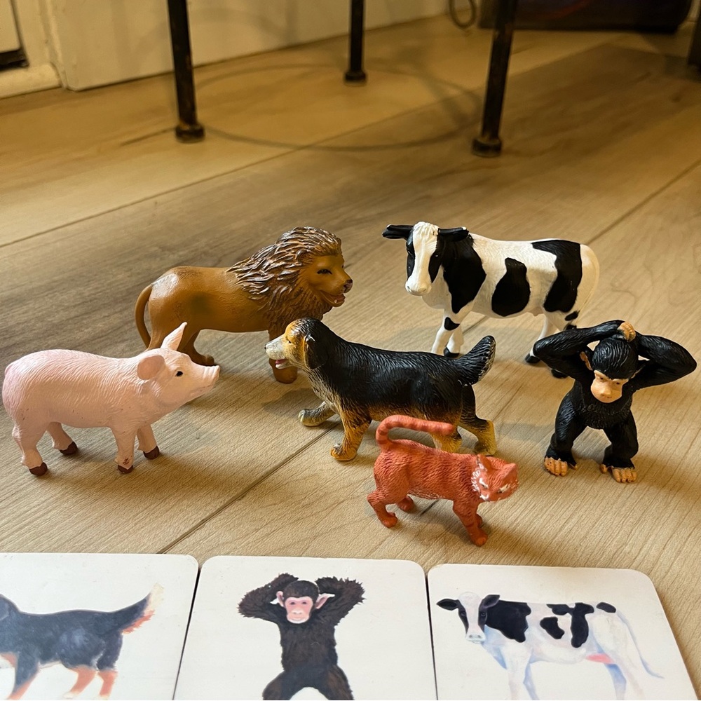 Lovevery Toddler Animal Sort & Match Montessori-Inspired Play Kit Complete - Picture 2 of 6